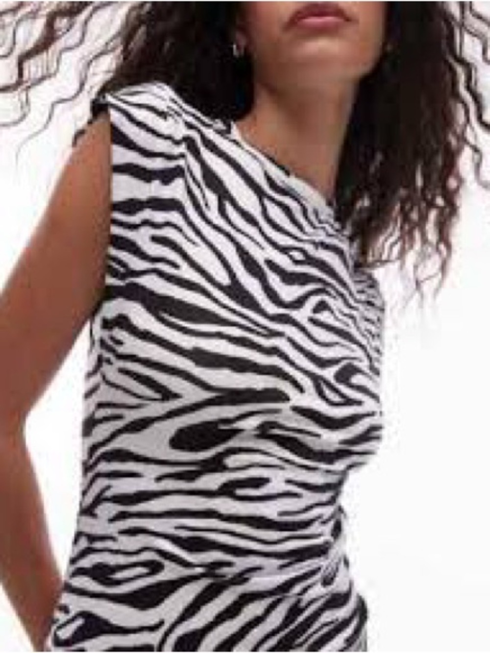 Philosophy Women’s Zebra-Print Short Sleeve Top. XL